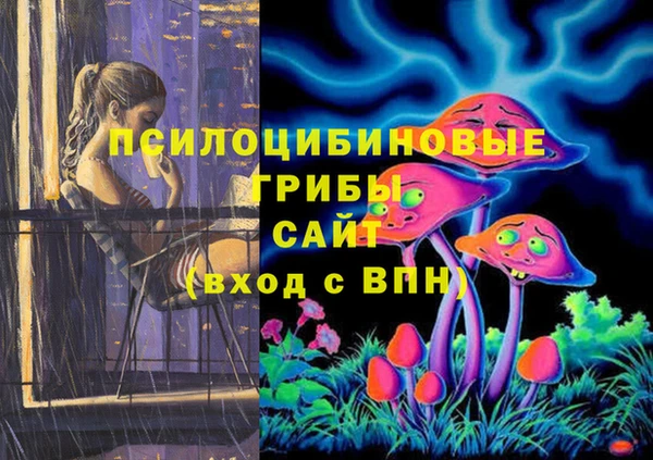 ешки Аркадак