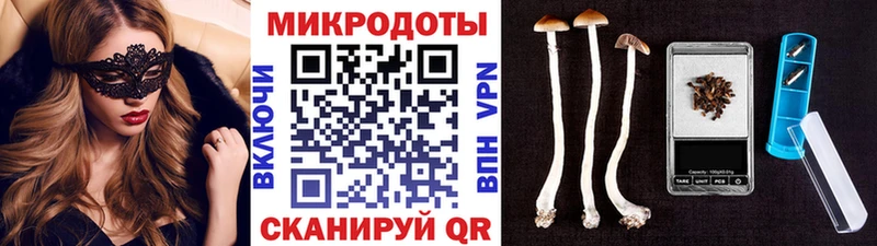 Галлюциногенные грибы Magic Shrooms гидра ONION Котельниково